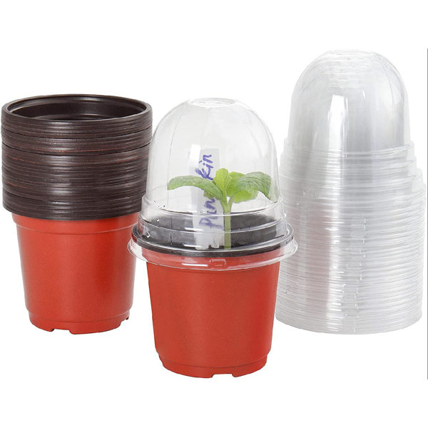 Arlmont & Co. Plant Nursery Pots With Humidity Domes, 30 Sets 4 Inch